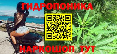 индика Бузулук