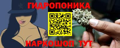 соль ск Будённовск
